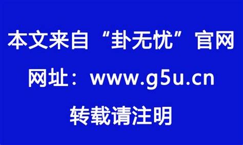 1982生肖狗|1982年属什么生肖的命 1982年属狗是什么命